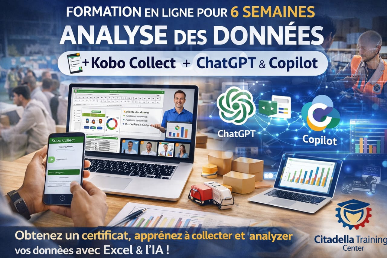 Formation en ligne en Analyse des données avec Kobo Collect + 2 Outils de l'intelligence Artificielle (ChatGPT & Copilot) pour  6 semaines,les weekends !.