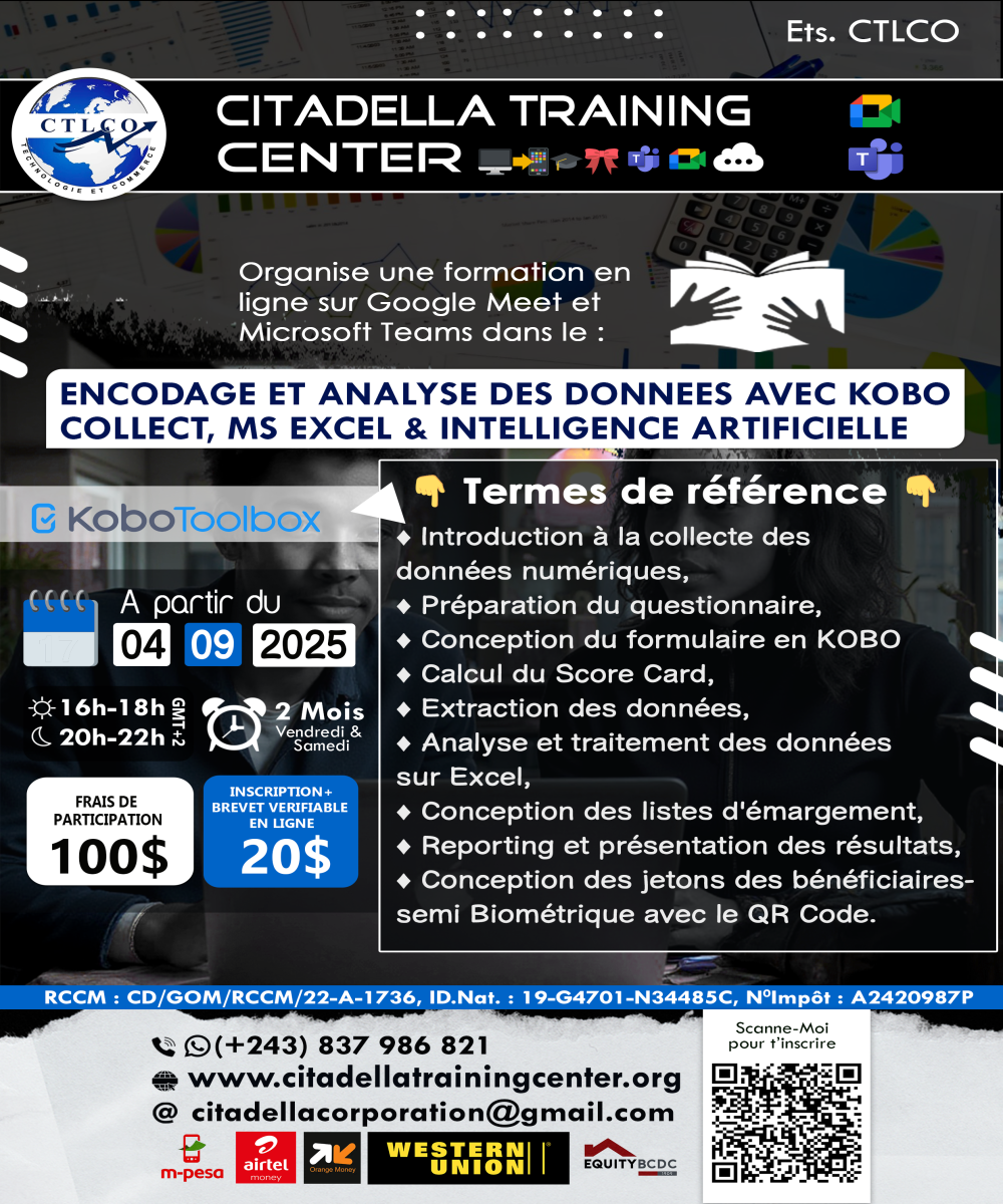 Formation en Analyse des données avec Kobo + EXCEL+ IA